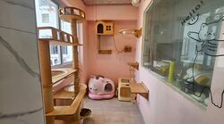 Blk 351 Tampines Street 33 (Tampines), HDB 4 Rooms #561299071